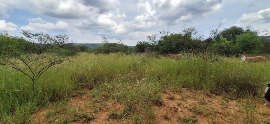 6 Bedroom Property for Sale in Koster North West